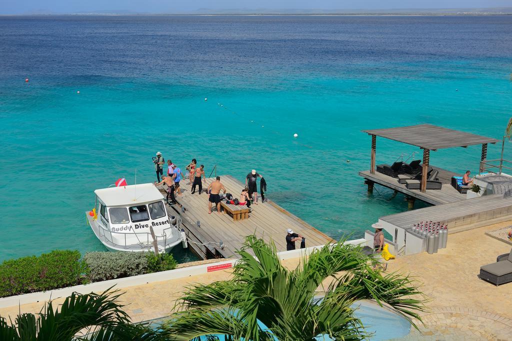 Belmar Oceanfront Apartments Bonaire Екстериор снимка