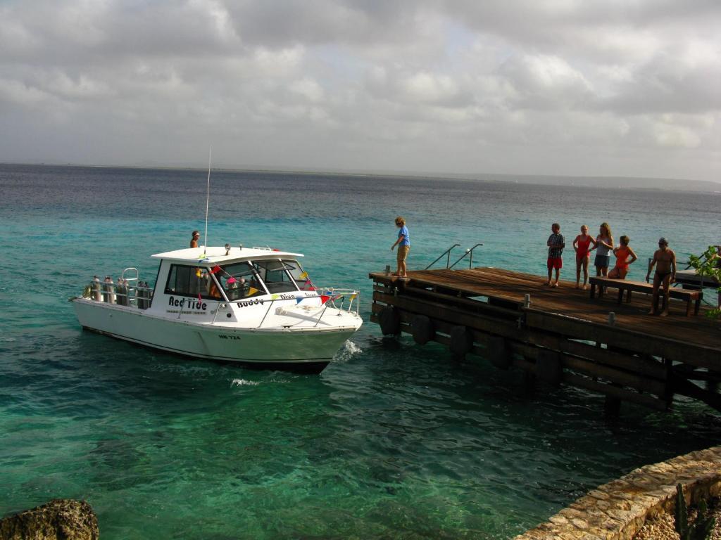 Belmar Oceanfront Apartments Bonaire Екстериор снимка