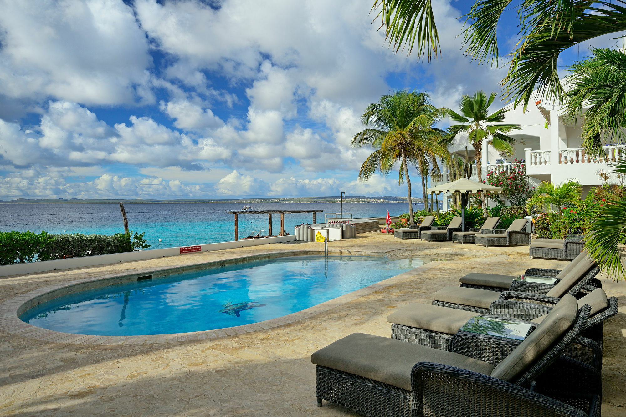 Belmar Oceanfront Apartments Bonaire Екстериор снимка