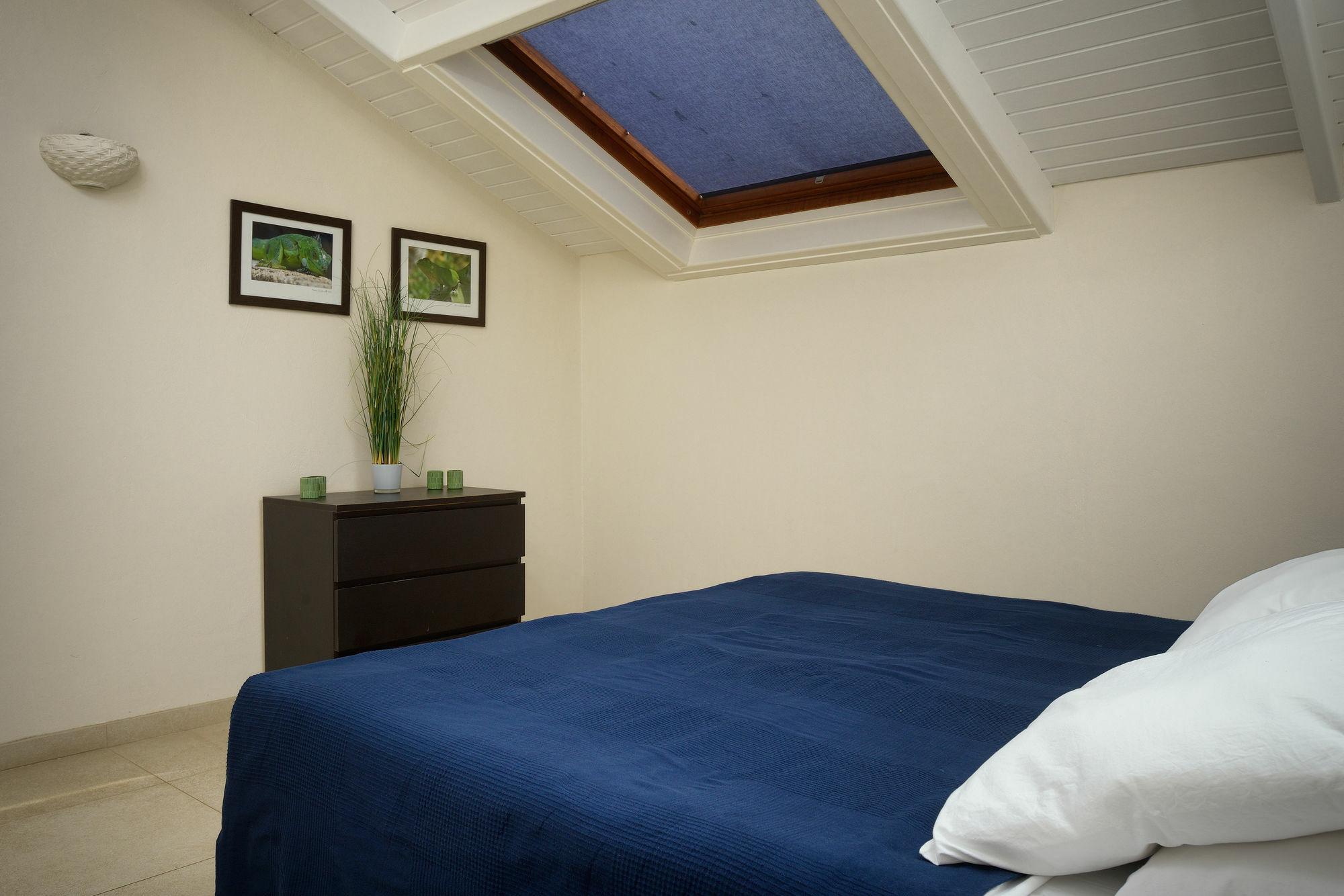 Belmar Oceanfront Apartments Bonaire Екстериор снимка